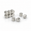 Neodymium Disc Magnet - 2.5mm x 2mm
