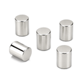 Neodymium Cylinder Magnet - 5mm x 6mm | N45