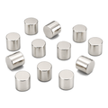 Neodymium Cylinder Magnet - 4mm x 4mm | N48