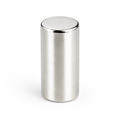 Neodymium Cylinder Magnet - 6.35mm x 12.7mm | N38