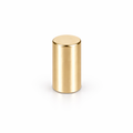 Neodymium Cylinder Magnet - 6mm x 12mm | Gold Coating | N52 | Diametrically Magnetised