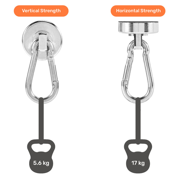 Magnetic Carabiner Hook | Buy Online! – AMF Magnetics
